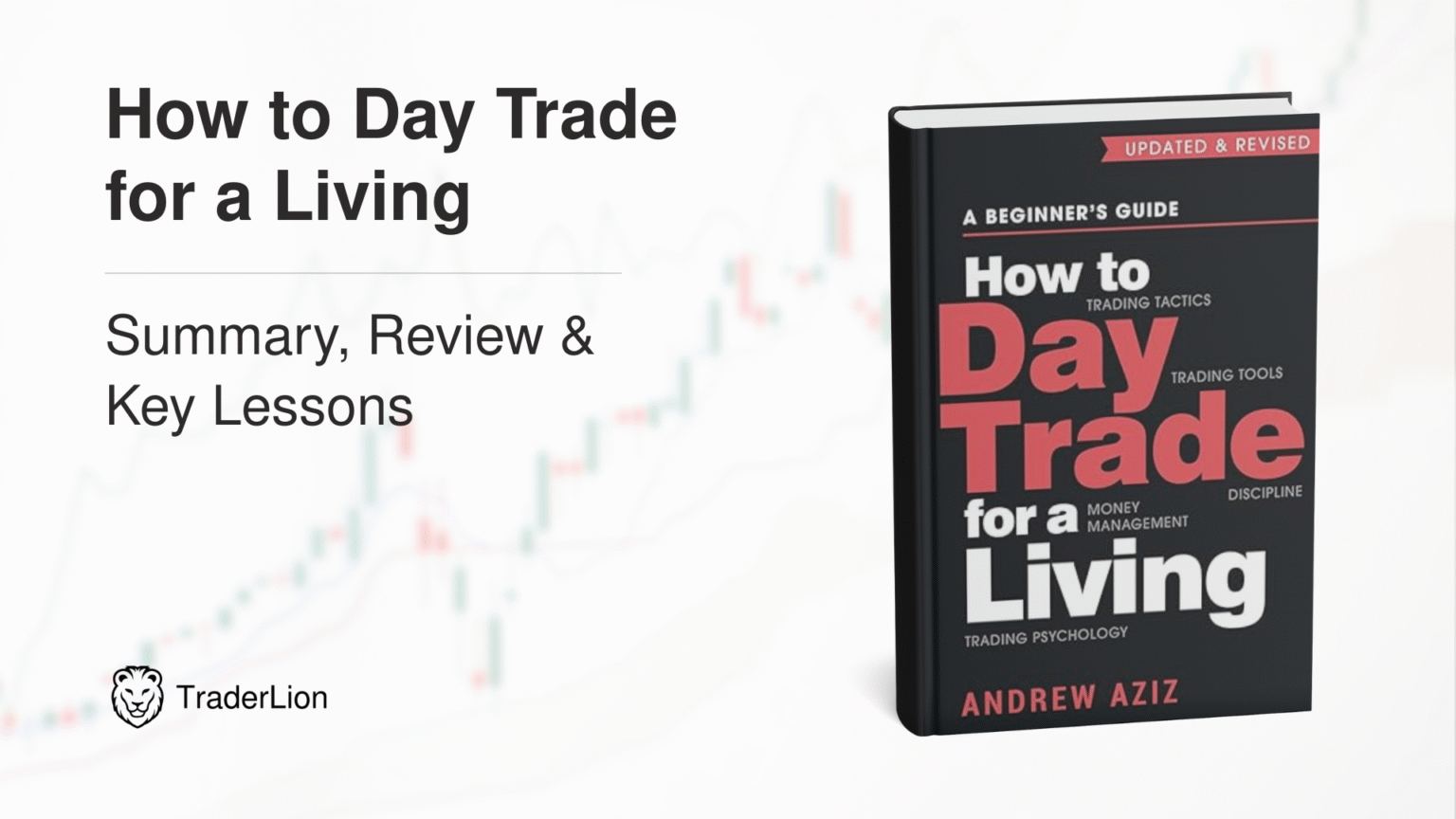 How To Day Trade For A Living Summary, Review & Key Lessons For Traders